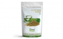 Holy Natural Aloe Vera Powder   Pack  250 grams